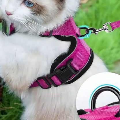 Harnais chat | Escape