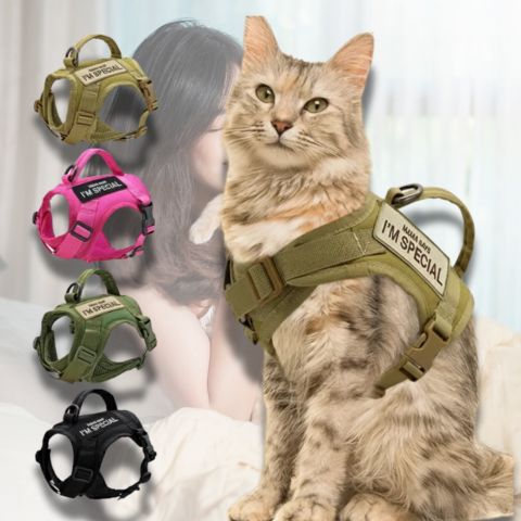 Harnais pour chat anti-fuite quatre couleurs, sécurité et confort.