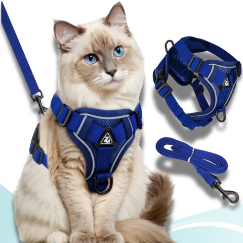 harnais chat bleu minuit 