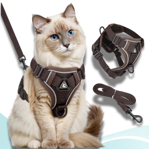 harnais pour chat couleur café