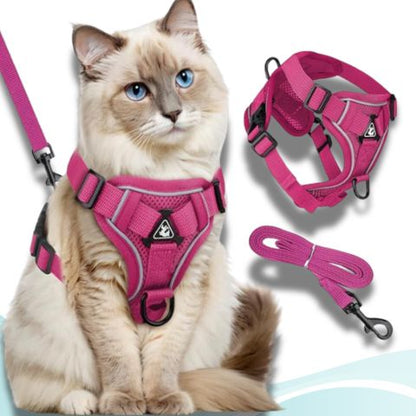 harnais chat couleur rose 