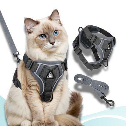 harnais pour chat couleur gris minu kit
