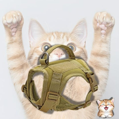 harnais chat kaki  confortable