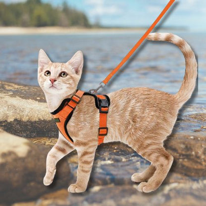 Harnais chat | Sécur-Félin