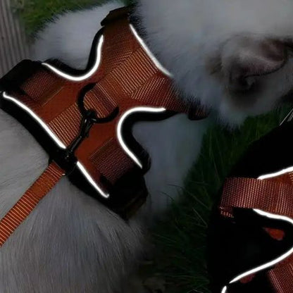 Harnais chat | Escape