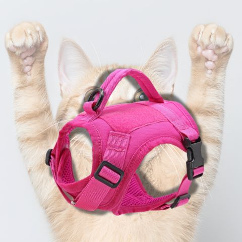 harnais rose solide avec laisse