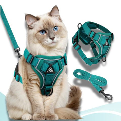 harnais chat turquoise
