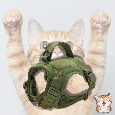 harnais chat vert boutique minu-kit