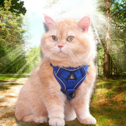 Harnais chat | Escape