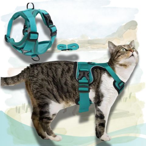 Harnais chat | Escape